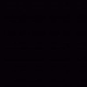 Meet your Posher, Theingi